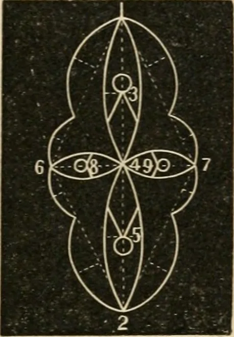 An illustration from Teachers' manual for freehand drawing in Intermediate schools : intended to accompany the drawing-books for intermediate schools, 1878, leaf 218