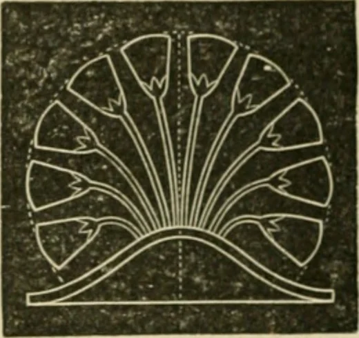 An illustration from Teachers' manual for freehand drawing in Intermediate schools : intended to accompany the drawing-books for intermediate schools, 1878, leaf 225