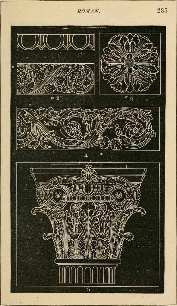An illustration from Teachers' manual for freehand drawing in Intermediate schools : intended to accompany the drawing-books for intermediate schools, 1878, leaf 238