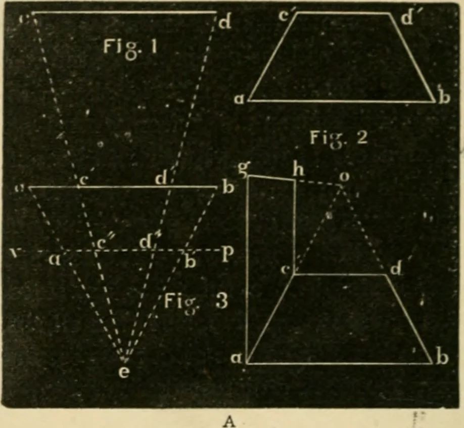 An illustration from Teachers' manual for freehand drawing in Intermediate schools : intended to accompany the drawing-books for intermediate schools, 1878, leaf 253