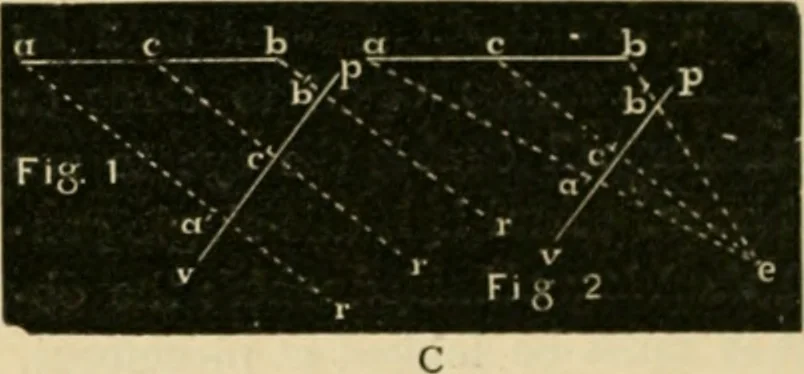 An illustration from Teachers' manual for freehand drawing in Intermediate schools : intended to accompany the drawing-books for intermediate schools, 1878, leaf 259