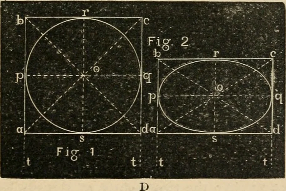 An illustration from Teachers' manual for freehand drawing in Intermediate schools : intended to accompany the drawing-books for intermediate schools, 1878, leaf 260