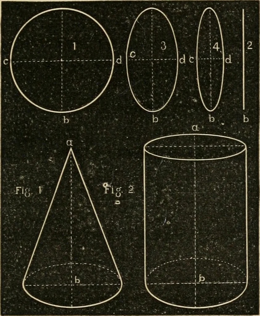 An illustration from Teachers' manual for freehand drawing in Intermediate schools : intended to accompany the drawing-books for intermediate schools, 1878, leaf 272