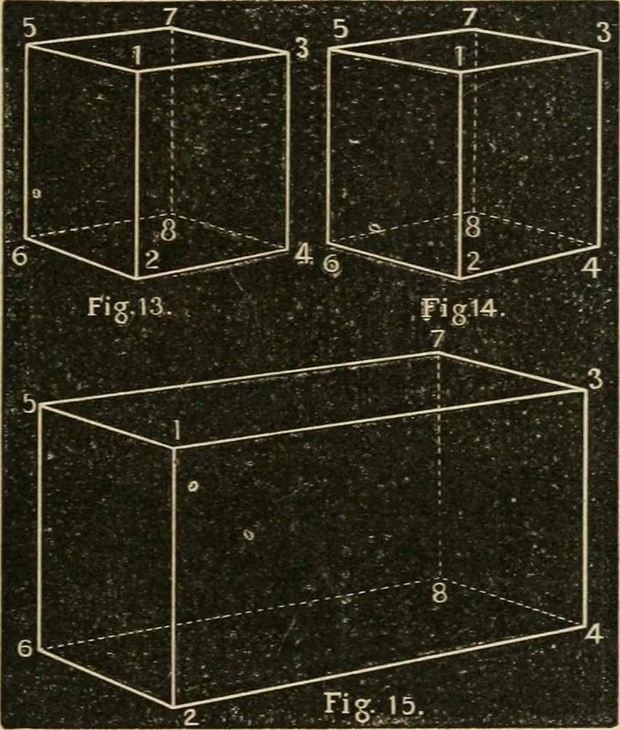 An illustration from Teachers' manual for freehand drawing in Intermediate schools : intended to accompany the drawing-books for intermediate schools, 1878, leaf 286