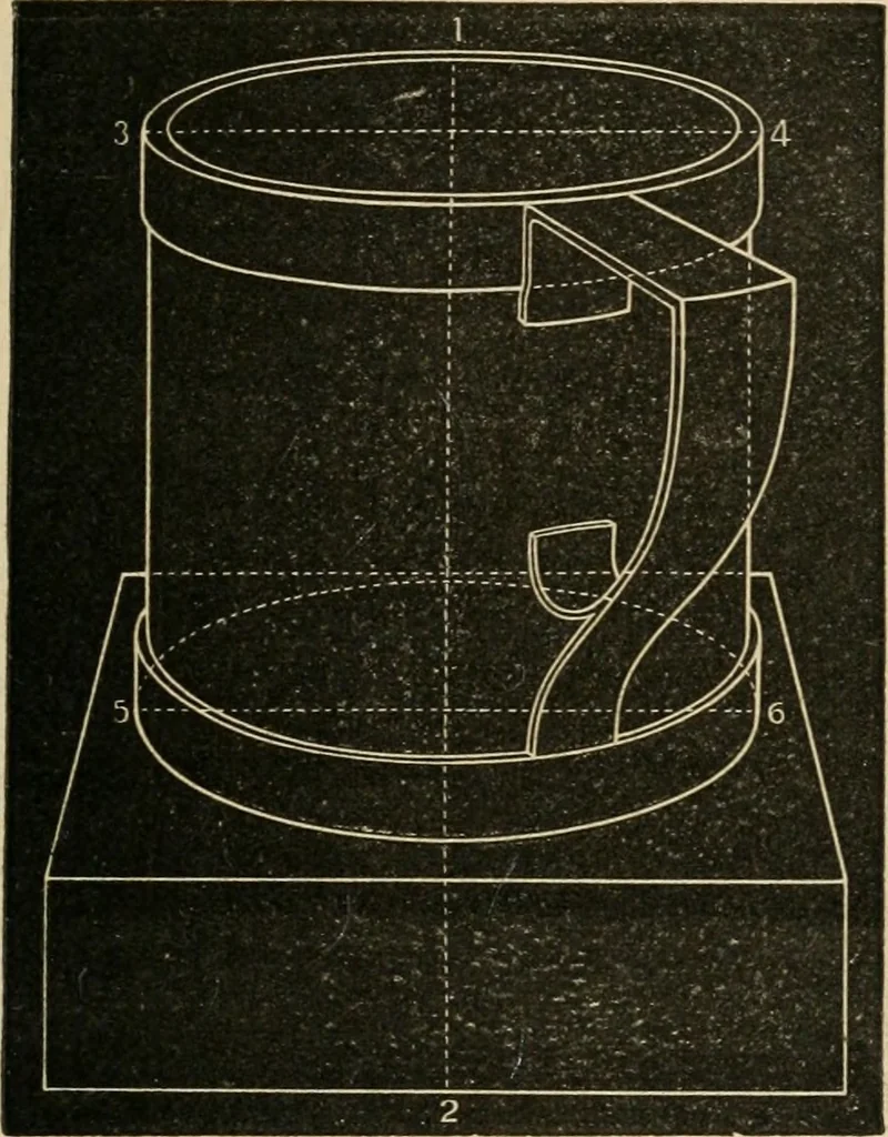 An illustration from Teachers' manual for freehand drawing in Intermediate schools : intended to accompany the drawing-books for intermediate schools, 1878, leaf 294