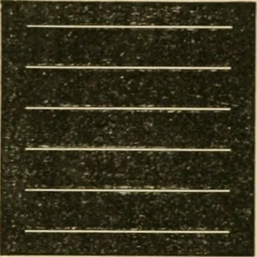 An illustration from Teachers' manual for freehand drawing in Intermediate schools : intended to accompany the drawing-books for intermediate schools, 1878, leaf 43