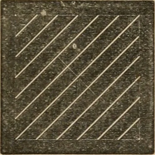 An illustration from Teachers' manual for freehand drawing in Intermediate schools : intended to accompany the drawing-books for intermediate schools, 1878, leaf 46