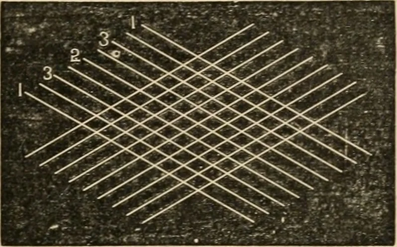An illustration from Teachers' manual for freehand drawing in Intermediate schools : intended to accompany the drawing-books for intermediate schools, 1878, leaf 52