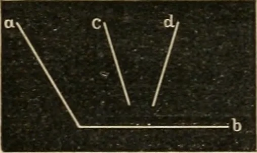 An illustration from Teachers' manual for freehand drawing in Intermediate schools : intended to accompany the drawing-books for intermediate schools, 1878, leaf 58
