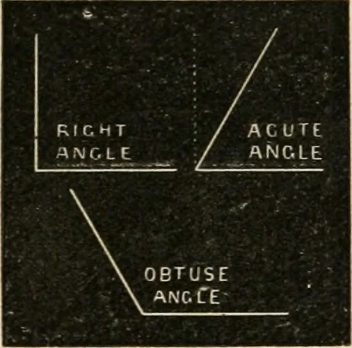 An illustration from Teachers' manual for freehand drawing in Intermediate schools : intended to accompany the drawing-books for intermediate schools, 1878, leaf 62