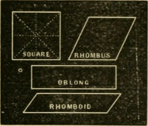 An illustration from Teachers' manual for freehand drawing in Intermediate schools : intended to accompany the drawing-books for intermediate schools, 1878, leaf 69