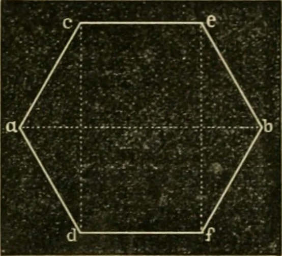 An illustration from Teachers' manual for freehand drawing in Intermediate schools : intended to accompany the drawing-books for intermediate schools, 1878, leaf 71