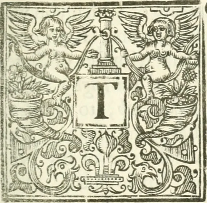 An illustration from Cabala; sive, Scrinia sacra. Mysteries of state and government, in letters of illustrious persons and great ministers of state as well forreign as domestick, in the reigns of King Henry the Eighth, Q. Elizabeth, K. James, and K. Charles. Wherein such secrets of empire, and publick affairs, as were then in agitation, are clearly represented, and many remarkable passages faithfully collected. Formerly in two volumns. To which is added several choice letters and negotiations, no where else published. Now collected and printed together in one volumn. With two exact tables, the one of the letters, and the other of things most observable, 1663, leaf 8