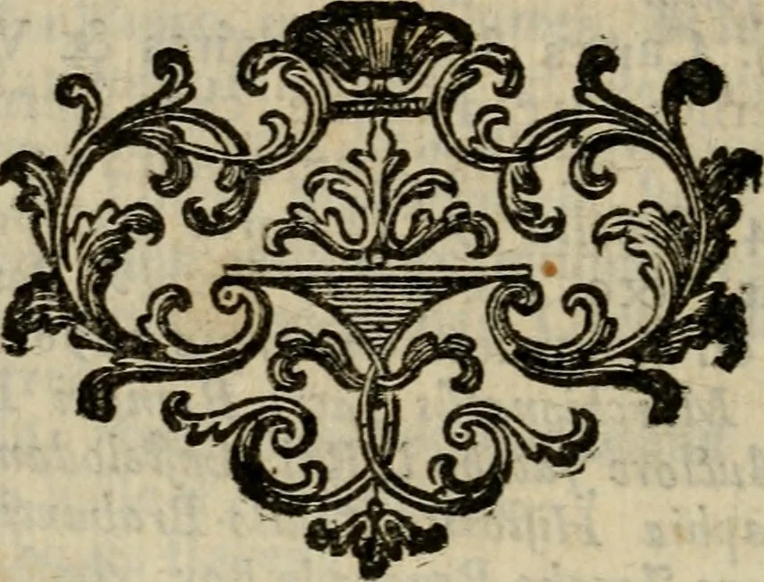 An illustration from Catalogue raisonné des diverses curiosités du cabinet de feu M. Quentin de Lorangere, composé de tableaux originaux des meilleurs maîtres de Flandres, d'une très-nombreuse collection de desseins & d'estampes de toutes les ecoles, de plusieurs atlas & suites de cartes, de quantité de morceaux de topographie, & d'un coquillier fait avec choix ..., 1744, leaf 307