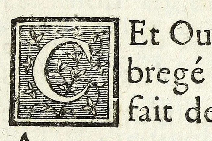 An illustration from Cabinet des singularitez dárchitecture, peinture, sculpture, et graveure : ou, Introduction a la connoissance des plus beaux arts, figurés sous les tableaux, les statuës, & les estampes, 1699, leaf 19