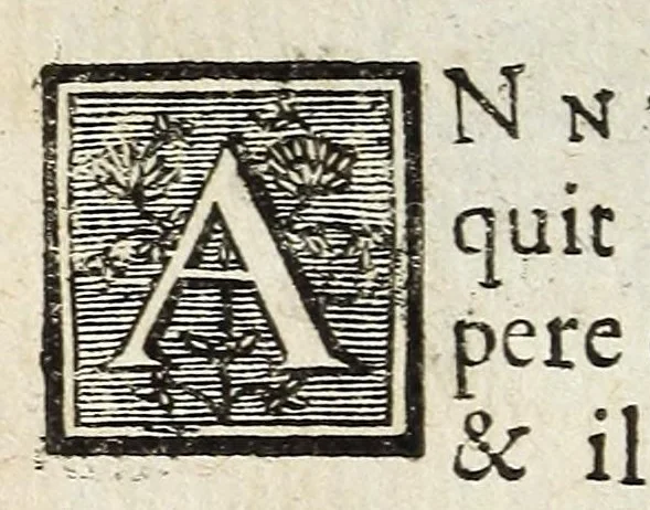An illustration from Cabinet des singularitez dárchitecture, peinture, sculpture, et graveure : ou, Introduction a la connoissance des plus beaux arts, figurés sous les tableaux, les statuës, & les estampes, 1699, leaf 202