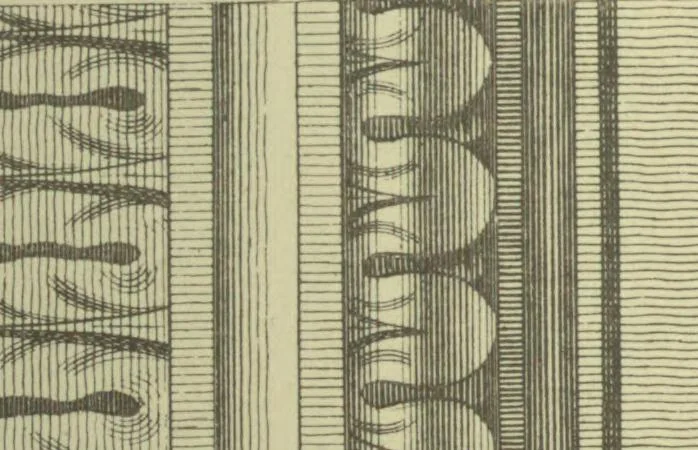 An illustration from The cabinet maker and upholsterer's guide; or, Repository of designs for every article of household furniture .., 1897, leaf 284