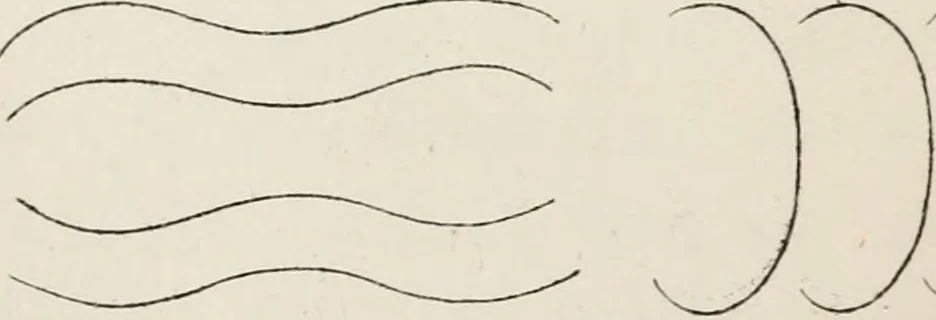 An illustration from The cabinet-maker and upholsterer's companion ... and a number of receipts .., 1850, leaf 27