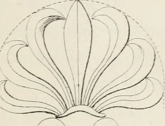 An illustration from The cabinet-maker and upholsterer's companion ... and a number of receipts .., 1850, leaf 32