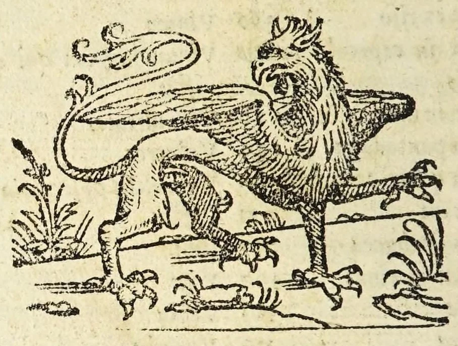 An illustration from Caelii Apitii, summi adulatricis medicinae artificis, De re culinaria libri decem. B. Platinae Cremonensis De tuenda ualetudine, natura rerum, & popinae scientia libri X. Pauli Aeginetae De facultatibus alimentorum tractatus, 1541, leaf 332