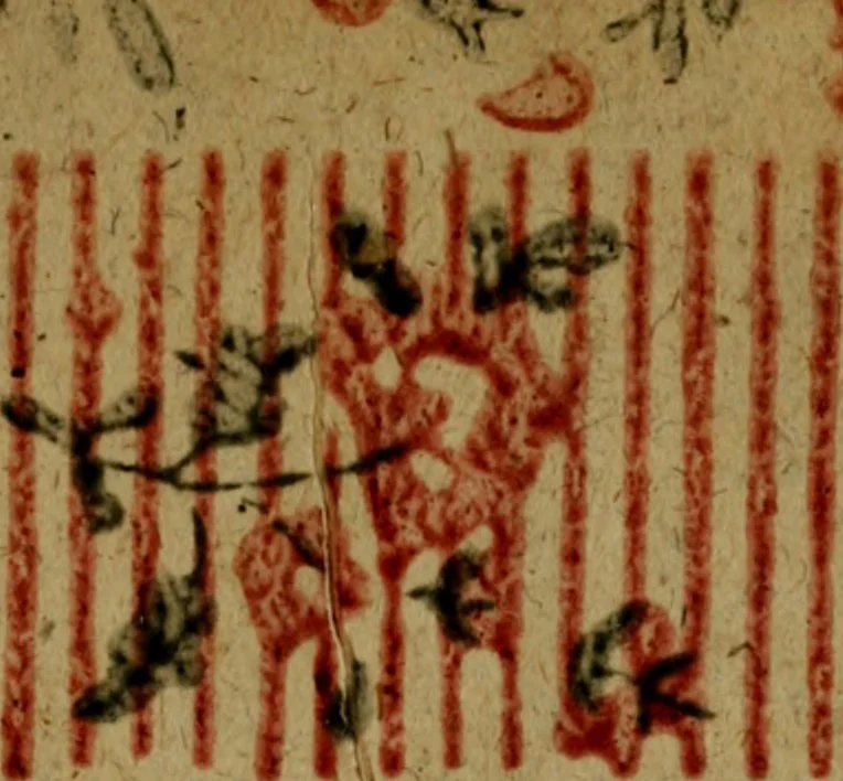 An illustration from Caesarini Fürstenerii Tractatus de jure suprematus ac legationis principum Germaniae, 1678, leaf 392