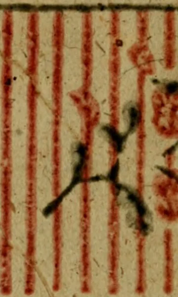 An illustration from Caesarini Fürstenerii Tractatus de jure suprematus ac legationis principum Germaniae, 1678, leaf 392