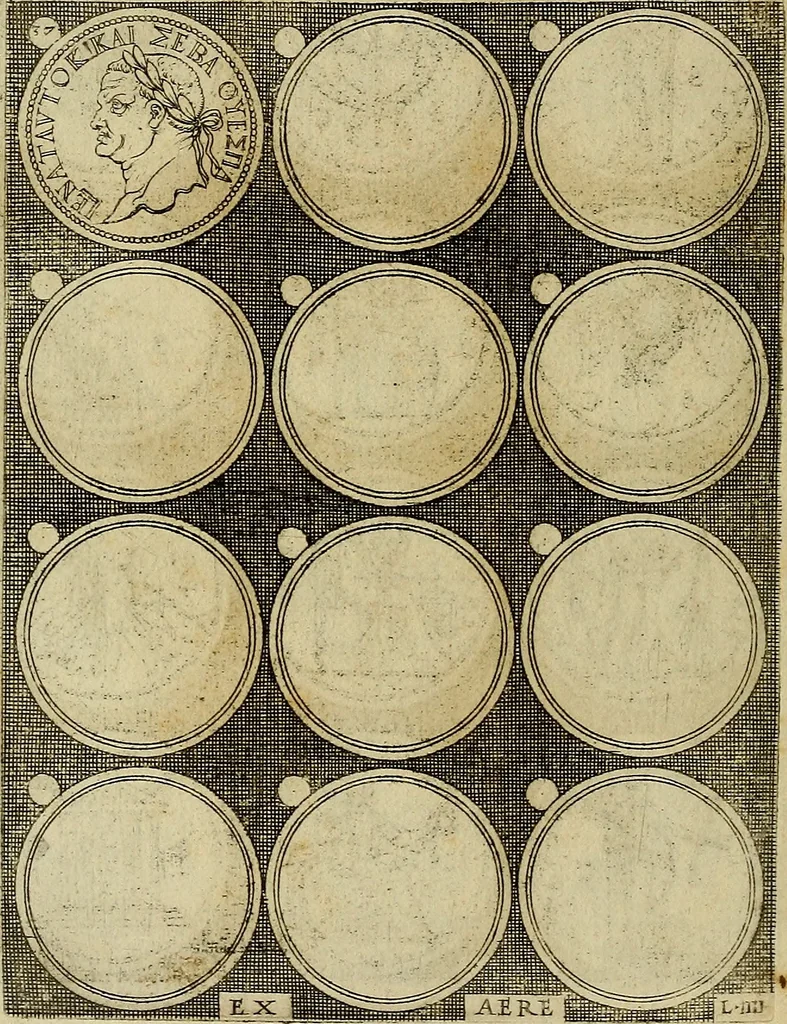 An illustration from Omnivm Caesarvm verissimae imagines ex antiqvis nvmismatis desvmptae : addita per brevi cvivsque vitae descriptiones ac diligenti eorvm, qvae reperiri potvervnt nvmismatvm, aversae partis delineatione. Libri primi, 1554, leaf 105