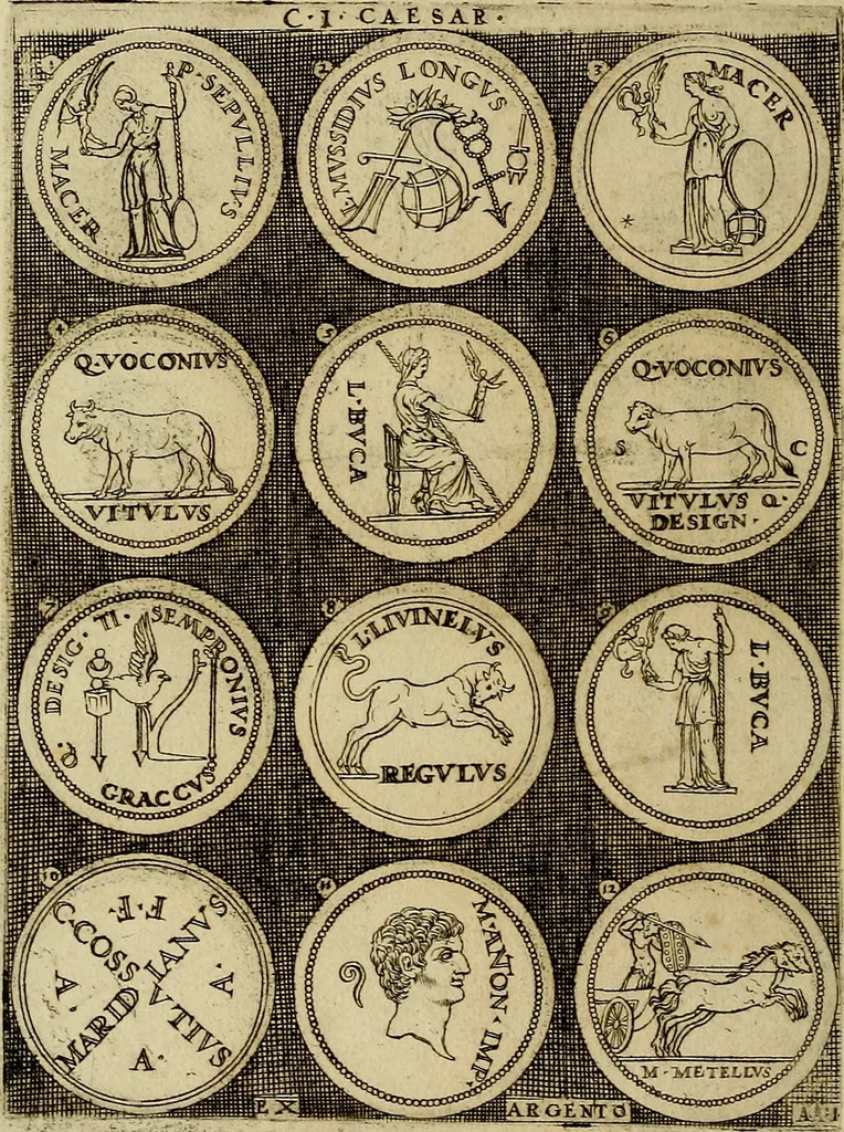 An illustration from Omnivm Caesarvm verissimae imagines ex antiqvis nvmismatis desvmptae : addita per brevi cvivsque vitae descriptiones ac diligenti eorvm, qvae reperiri potvervnt nvmismatvm, aversae partis delineatione. Libri primi, 1554, leaf 11