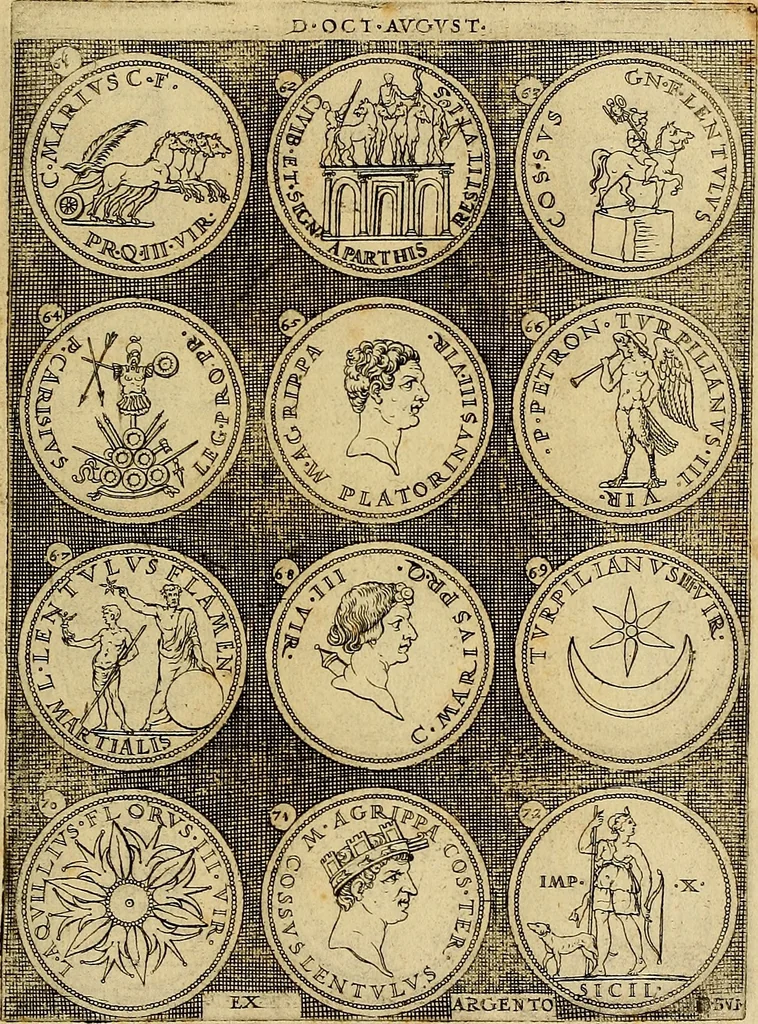 An illustration from Omnivm Caesarvm verissimae imagines ex antiqvis nvmismatis desvmptae : addita per brevi cvivsque vitae descriptiones ac diligenti eorvm, qvae reperiri potvervnt nvmismatvm, aversae partis delineatione. Libri primi, 1554, leaf 28