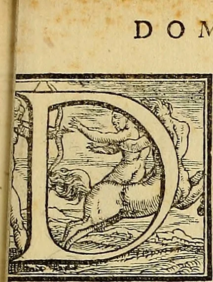 An illustration from Omnivm Caesarvm verissimae imagines ex antiqvis nvmismatis desvmptae : addita per brevi cvivsque vitae descriptiones ac diligenti eorvm, qvae reperiri potvervnt nvmismatvm, aversae partis delineatione. Libri primi, 1554, leaf 56