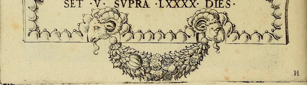 An illustration from Omnivm Caesarvm verissimae imagines ex antiqvis nvmismatis desvmptae : addita per brevi cvivsque vitae descriptiones ac diligenti eorvm, qvae reperiri potvervnt nvmismatvm, aversae partis delineatione. Libri primi, 1554, leaf 73
