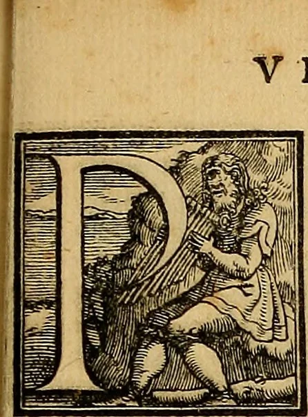 An illustration from Omnivm Caesarvm verissimae imagines ex antiqvis nvmismatis desvmptae : addita per brevi cvivsque vitae descriptiones ac diligenti eorvm, qvae reperiri potvervnt nvmismatvm, aversae partis delineatione. Libri primi, 1554, leaf 80