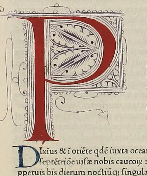 An illustration from Caii Plynii secundi naturalis historiae liber I, leaf 308