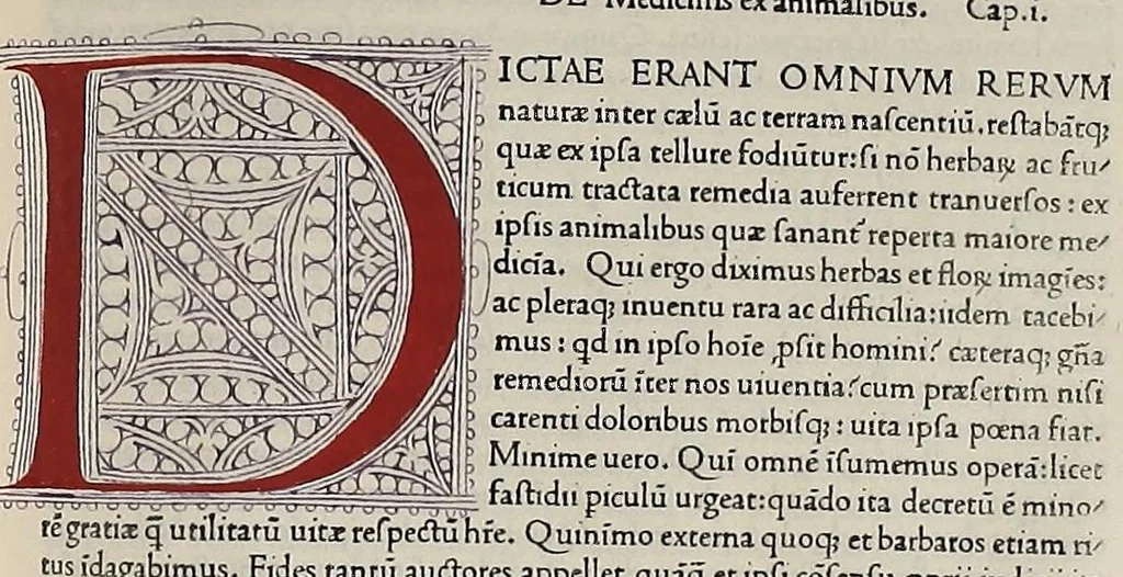 An illustration from Caii Plynii secundi naturalis historiae liber I, leaf 539