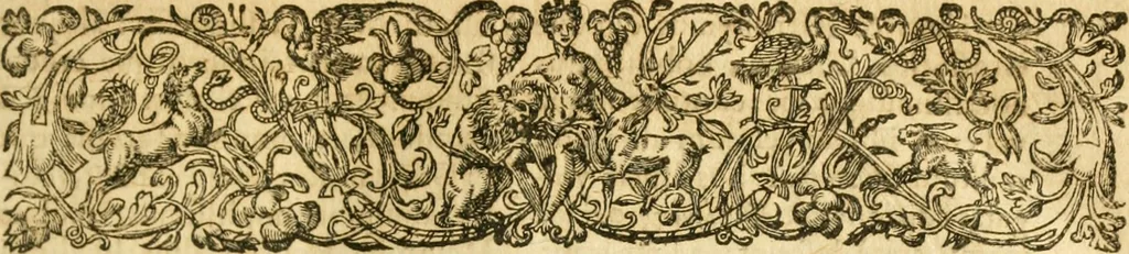 An illustration from Caii Suetonii Tranquilli de xii Caesaribus libri viii : eiusdem de illustribus grammaticis et de claris rhetoribus : Isaacus Casaubonus ex fide vetustissimorum librorum recensuit & libros adiecit animadversionum, 1611, leaf 40