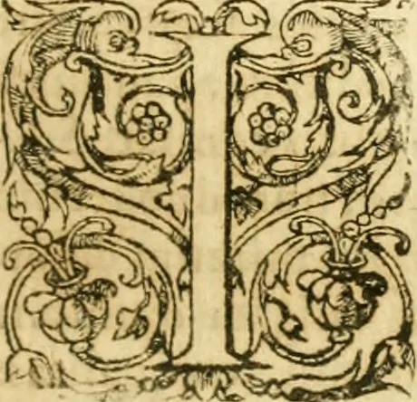 An illustration from Caii Suetonii Tranquilli de xii Caesaribus libri viii : eiusdem de illustribus grammaticis et de claris rhetoribus : Isaacus Casaubonus ex fide vetustissimorum librorum recensuit & libros adiecit animadversionum, 1611, leaf 40