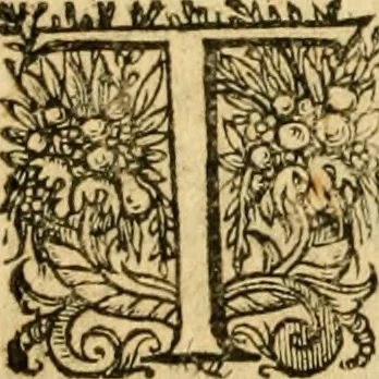 An illustration from Caii Suetonii Tranquilli de xii Caesaribus libri viii : eiusdem de illustribus grammaticis et de claris rhetoribus : Isaacus Casaubonus ex fide vetustissimorum librorum recensuit & libros adiecit animadversionum, 1611, leaf 523