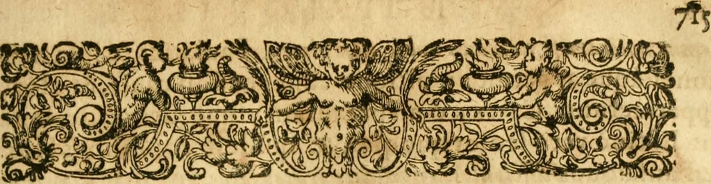 An illustration from Caii Suetonii Tranquilli de xii Caesaribus libri viii : eiusdem de illustribus grammaticis et de claris rhetoribus : Isaacus Casaubonus ex fide vetustissimorum librorum recensuit & libros adiecit animadversionum, 1611, leaf 752