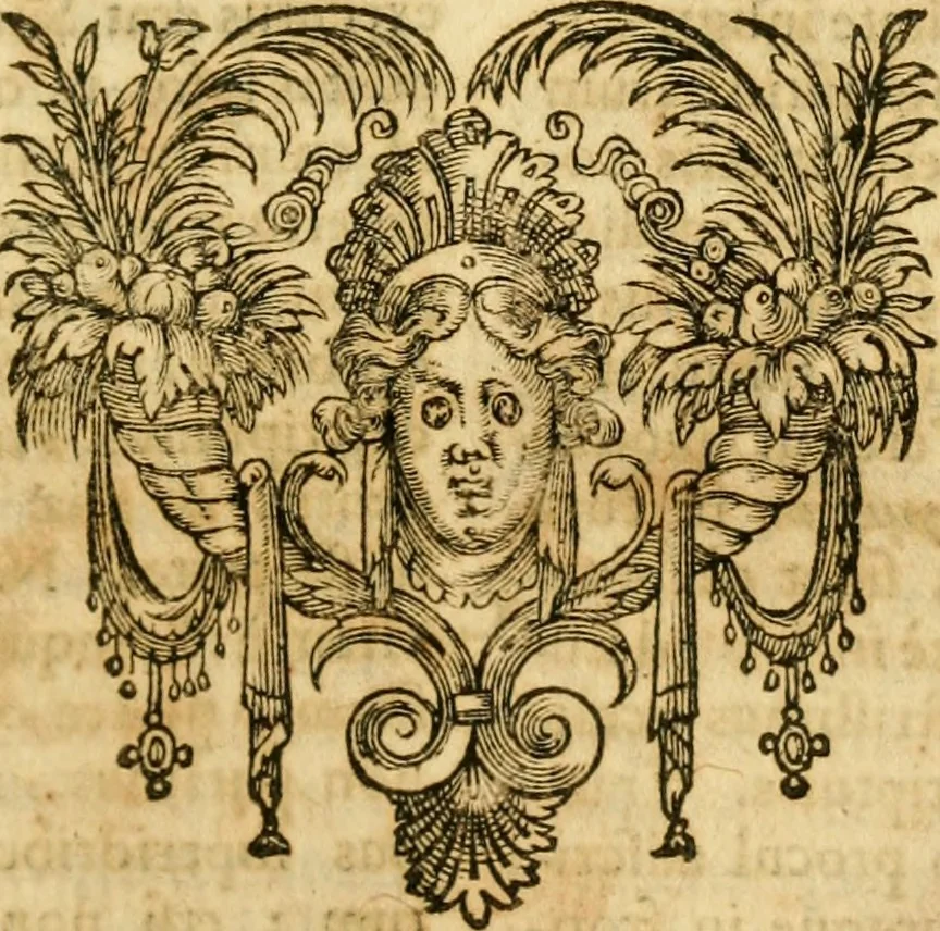 An illustration from Caii Suetonii Tranquilli de xii Caesaribus libri viii : eiusdem de illustribus grammaticis et de claris rhetoribus : Isaacus Casaubonus ex fide vetustissimorum librorum recensuit & libros adiecit animadversionum, 1611, leaf 762
