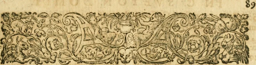 An illustration from Caii Suetonii Tranquilli de xii Caesaribus libri viii : eiusdem de illustribus grammaticis et de claris rhetoribus : Isaacus Casaubonus ex fide vetustissimorum librorum recensuit & libros adiecit animadversionum, 1611, leaf 928