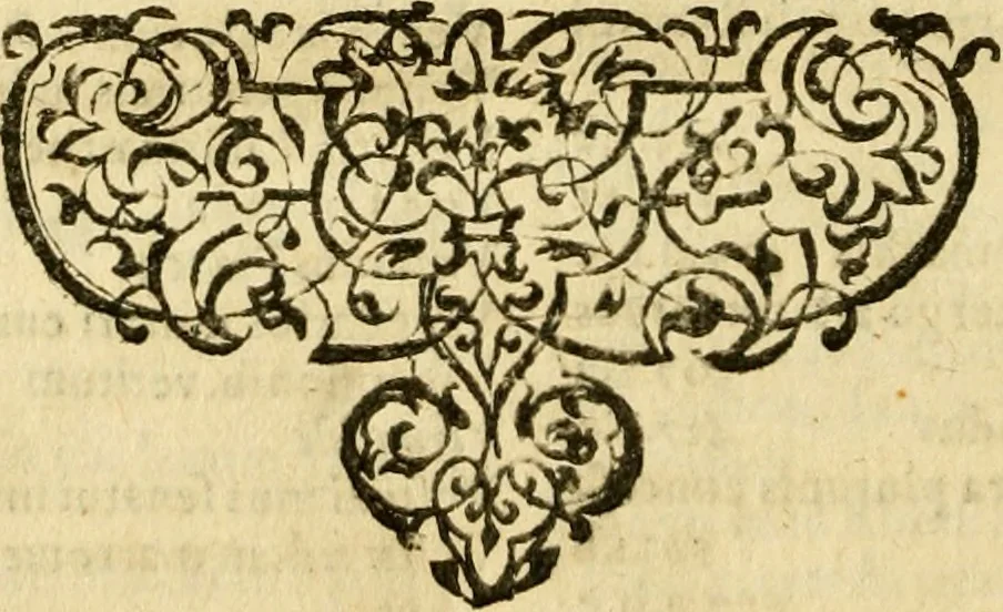 An illustration from Caii Suetonii Tranquilli de xii Caesaribus libri viii : eiusdem de illustribus grammaticis et de claris rhetoribus : Isaacus Casaubonus ex fide vetustissimorum librorum recensuit & libros adiecit animadversionum, 1611, leaf 975