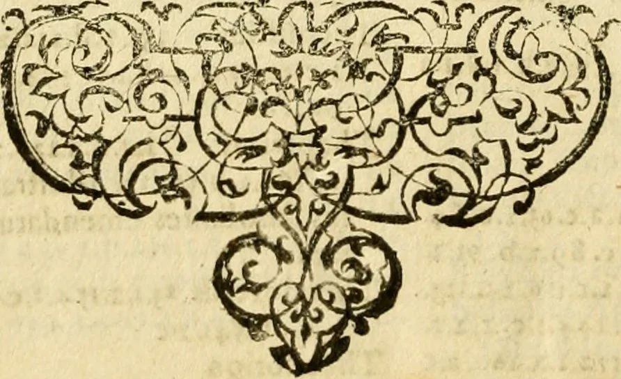An illustration from Caii Suetonii Tranquilli de xii Caesaribus libri viii : eiusdem de illustribus grammaticis et de claris rhetoribus : Isaacus Casaubonus ex fide vetustissimorum librorum recensuit & libros adiecit animadversionum, 1611, leaf 989