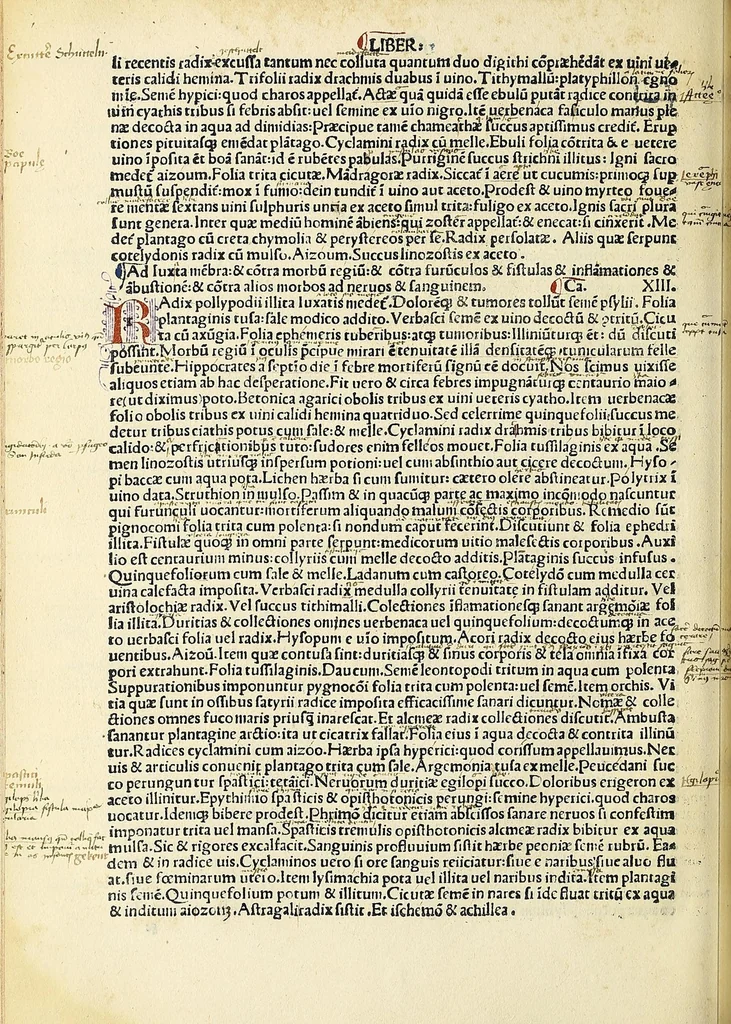 An illustration from Caius Plinius Marco suo salutem .., leaf 450