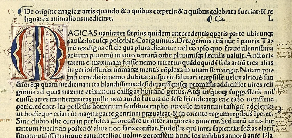 An illustration from Caius Plinius Marco suo salutem .., leaf 500
