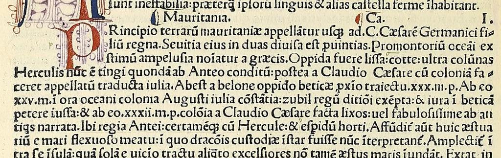 An illustration from Caius Plinius Marco suo salutem .., leaf 92