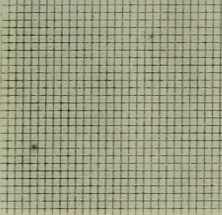 An illustration from Calculations and tables, connected with the art of weaving, 1700, leaf 624