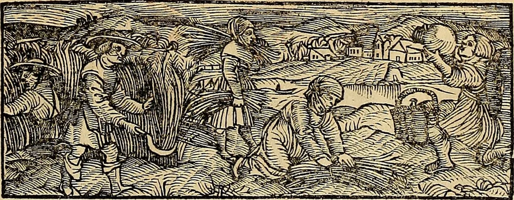 An illustration from Calendarivm Romanvm magnum : Caesaree maiestati dicatum, 1518, leaf 200