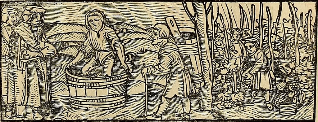 An illustration from Calendarivm Romanvm magnum : Caesaree maiestati dicatum, 1518, leaf 204