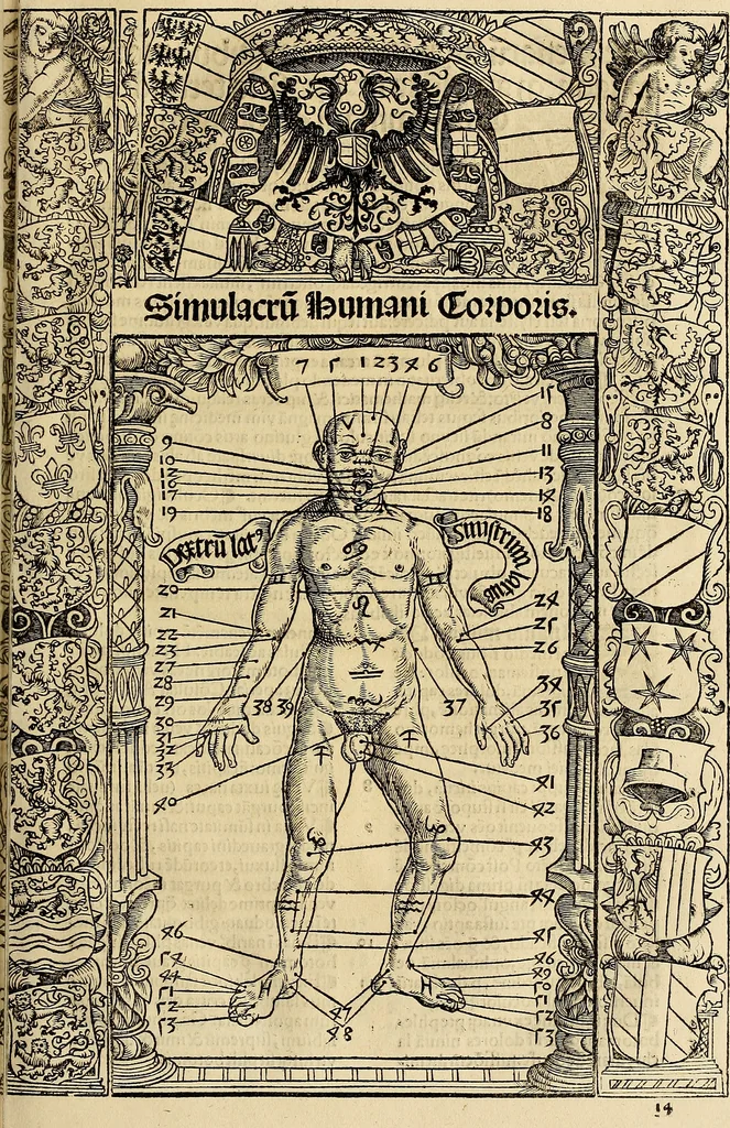 An illustration from Calendarivm Romanvm magnum : Caesaree maiestati dicatum, 1518, leaf 56