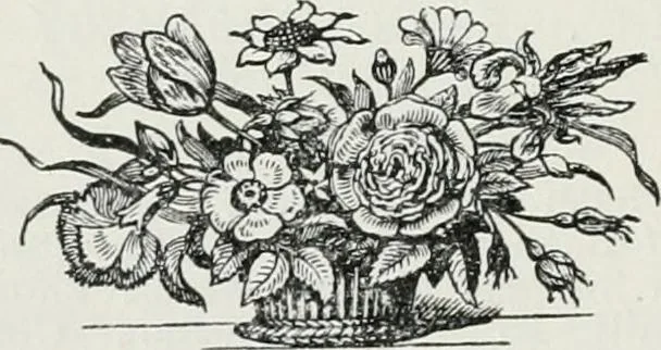 An illustration from Calendar of customs, superstitions, weather-lore, popular sayings, and important events connected with the county of Somerset, 1920, leaf 113